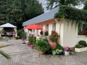 Отель Schlossblick  Бланкенбург-Гарц